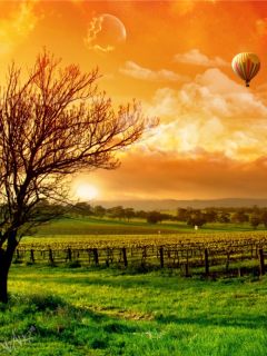 balloonrid_pktvxpl8.jpg