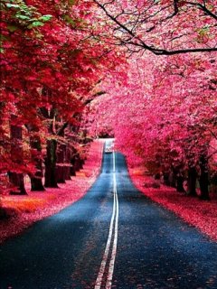 scenikroad_p2mcl1s8.jpg