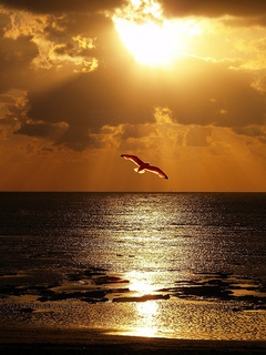 sunset_ik8ayo5o.jpg
