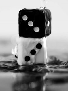 blackandwh_tkyp6rzi.jpg