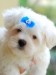 sweetgirl_weqmw7rd.jpg