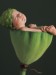 annesgreebflower1.jpg